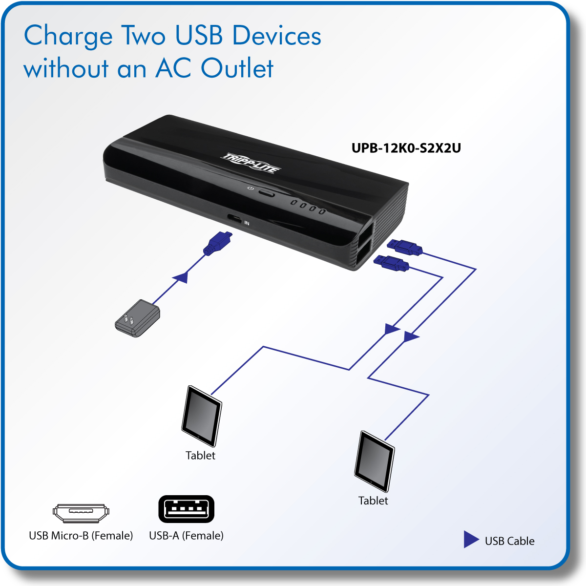 Tripp Lite Portable 2-Port USB Battery Charger Mobile Power Bank 12,000 mAh  power bank - Li-Ion - USB
