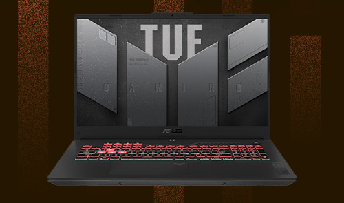 ASUS TUF Gaming A17 (FA707NU-DS74) 17.3 144Hz Full HD IPS-Level Gaming  Laptop w / NVIDIA