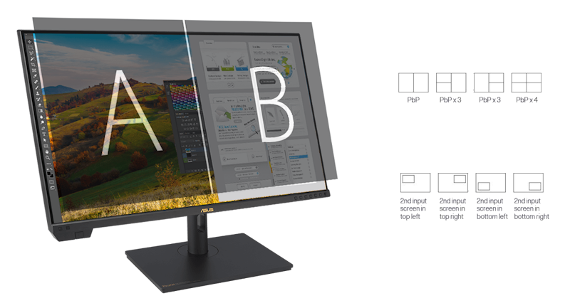 ProArt Display PA32UCXR showing split-screen viewing, with the left side of the monitor for photo editing, while the right side shows a web browser