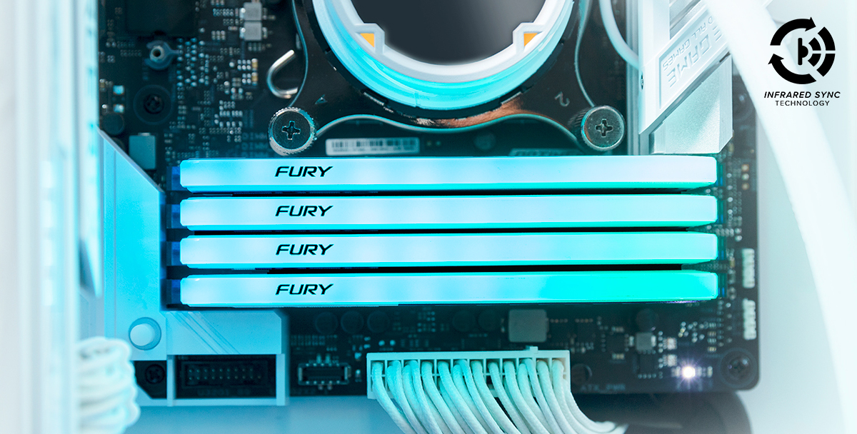 Kingston FURY Beast Special Edition 32GB (2x16GB) 3600MT/s CL18