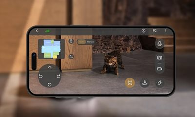 Keep an Eye on Your Pets