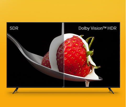 Smartcast Pro Renewed Smart TV VIZIO 55