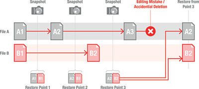 Snapshots for Instantaneous Data Backup/Restore