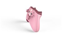 Pig minecraft hot sale xbox controller