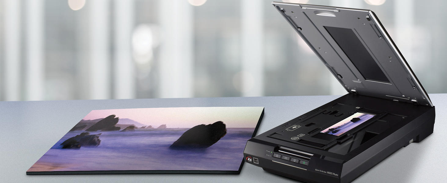 turtle Banyan Giving Epson Perfection V600 Colour Flatbed Scanner | staples.ca
