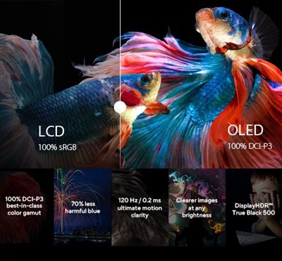 ASUS Lumina OLED
