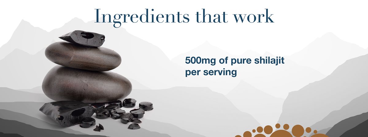 Ingredients that Work; 500mg of pure shilajit per serving