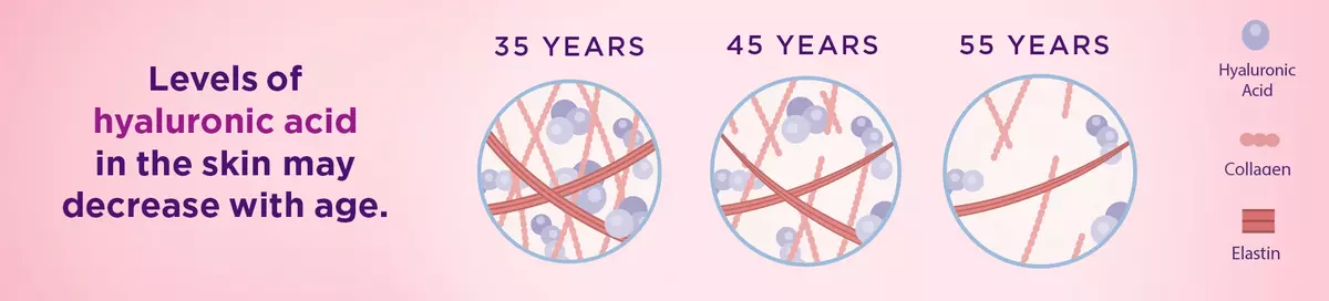 levels of hyaluronic acid in the skin may decrease with age