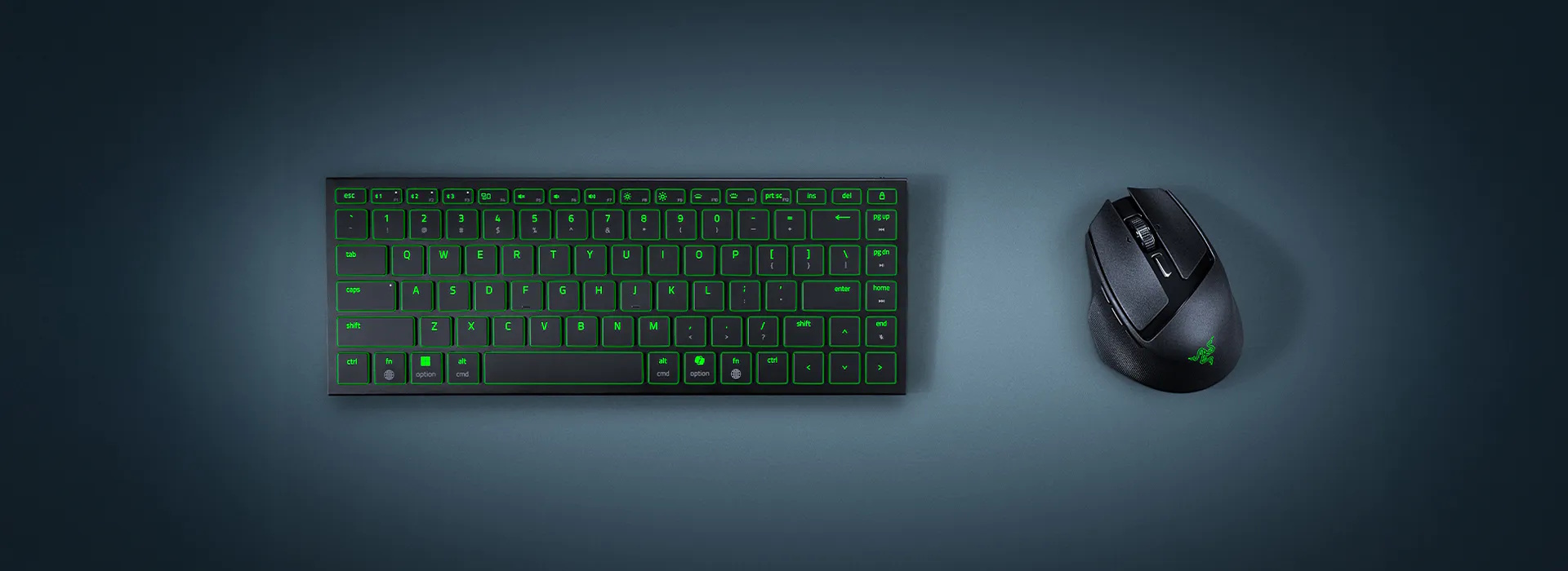 Razer Basilisk Mobile Optical Gaming Mouse Wireless Black RZ01