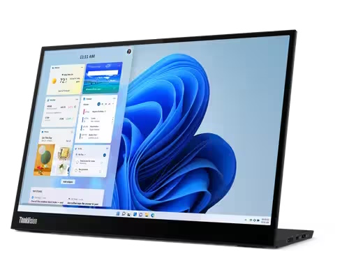 中古美品Lenovo Thinkvision m14d Lenovo ThinkVision M14d - LED monitor - 14