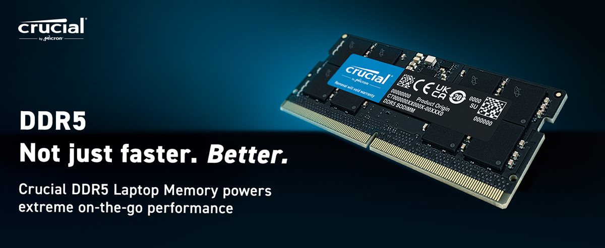 Crucial DDR5 64 Go (2 x 32 Go) 4800 MHz CL40 (CT2K32G48C40U5) - Achat  Mémoire PC Crucial pour professionnels sur