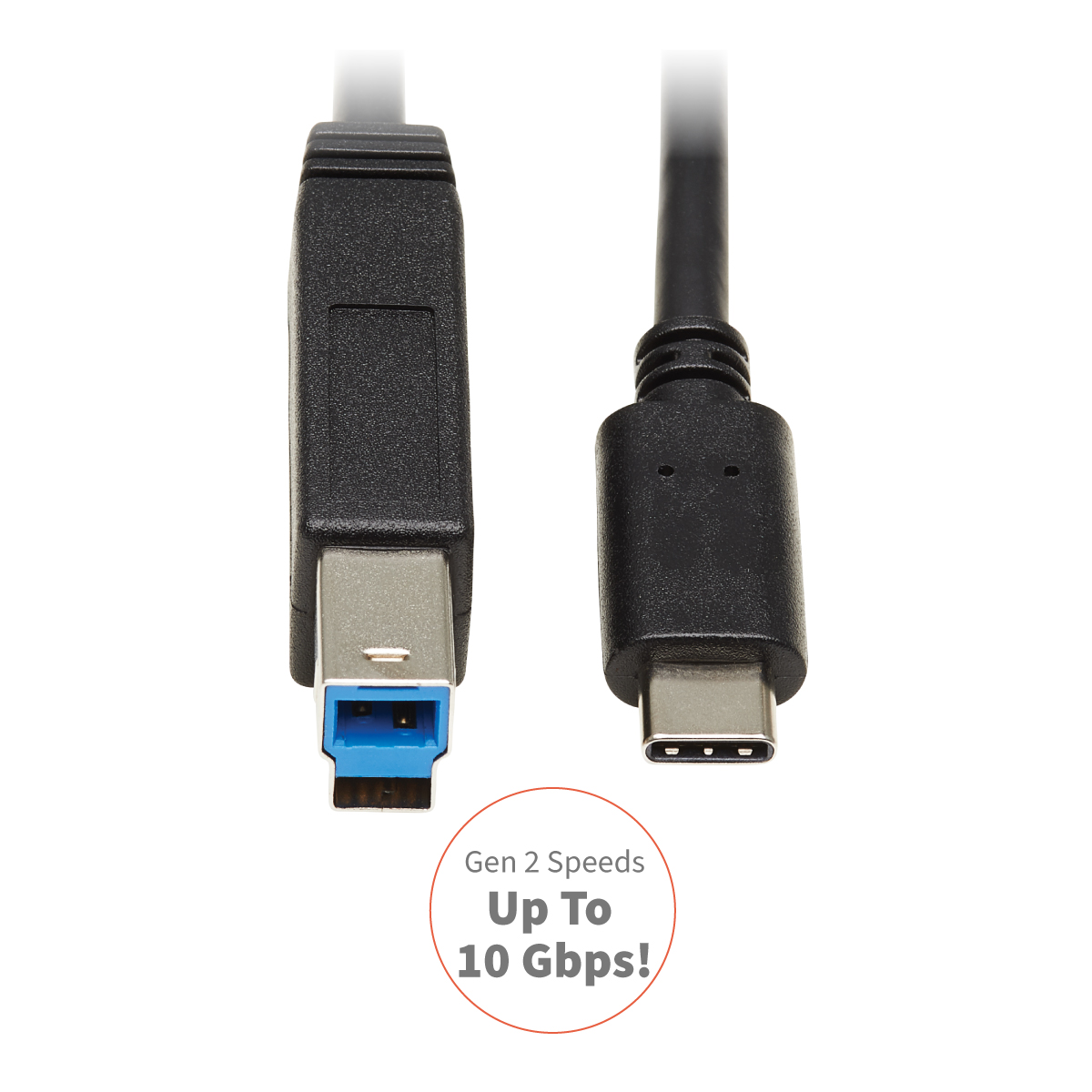USB-C to USB-B Cable - USB 3.2 Gen 2, 10 Gbps, Thunderbolt 3 Compatible, 20  in.
