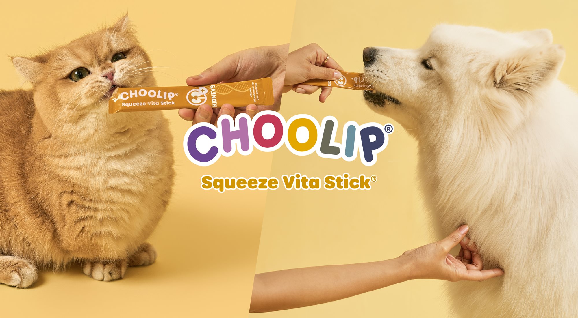 CHOOLIP, Vita Stick Kidney Support Treats for Cats and Dogs, 7