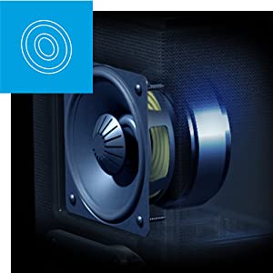 BDSS System and Linear Response Waveguide