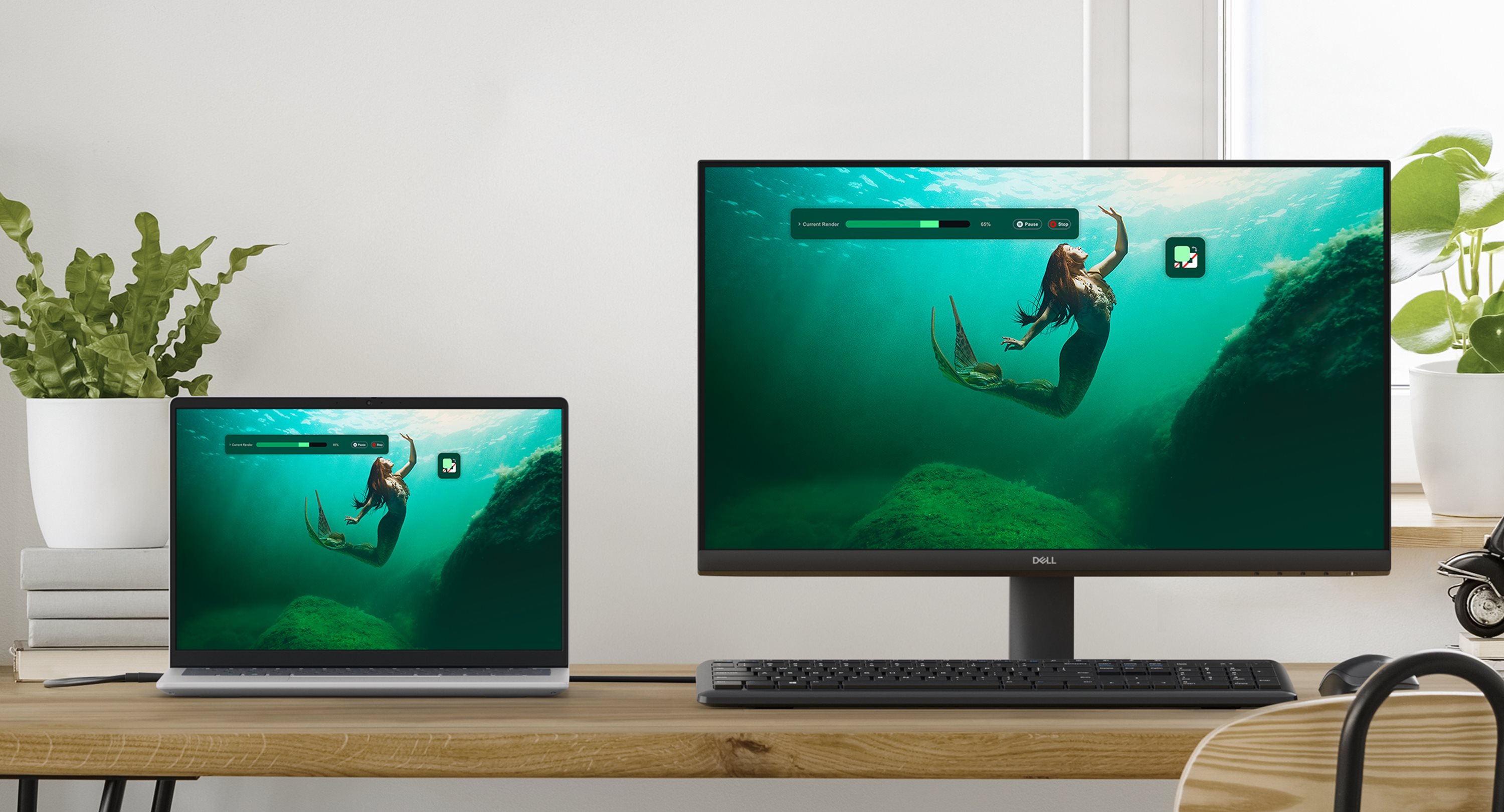 Dell 24 Monitor - SE2425HM - שניידר פתרונות
