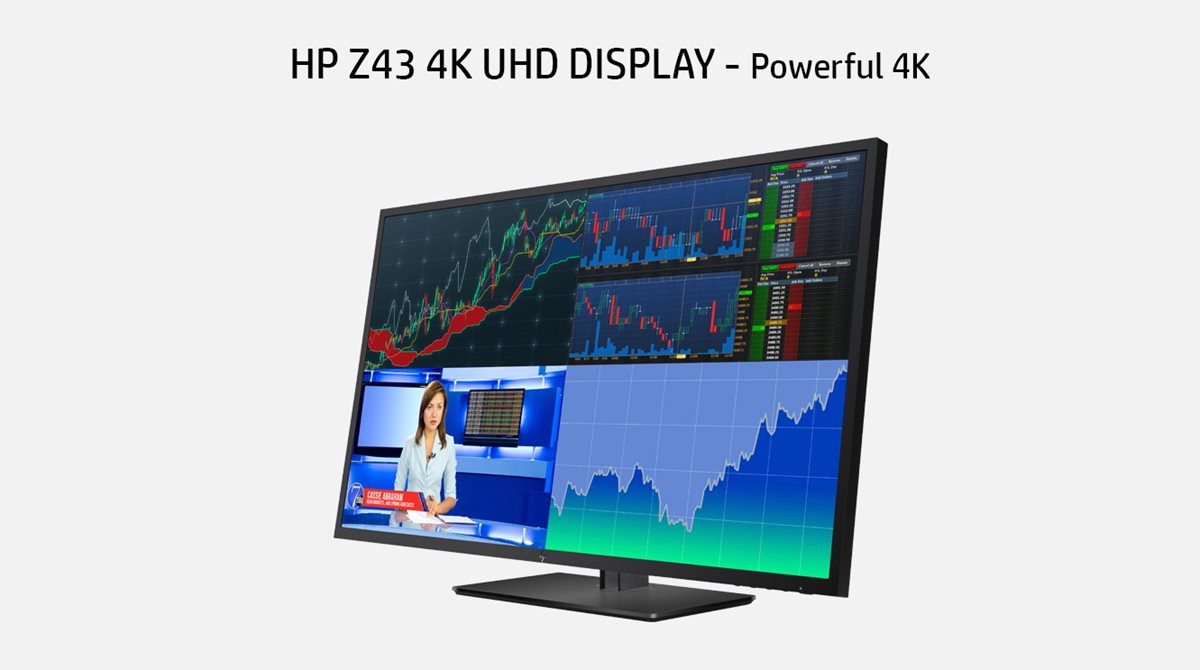 HP Z43 Ultra HD 4K LED Backlit IPS Monitor - Newegg.com
