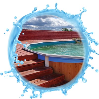 Kills Algae and Bacteria
