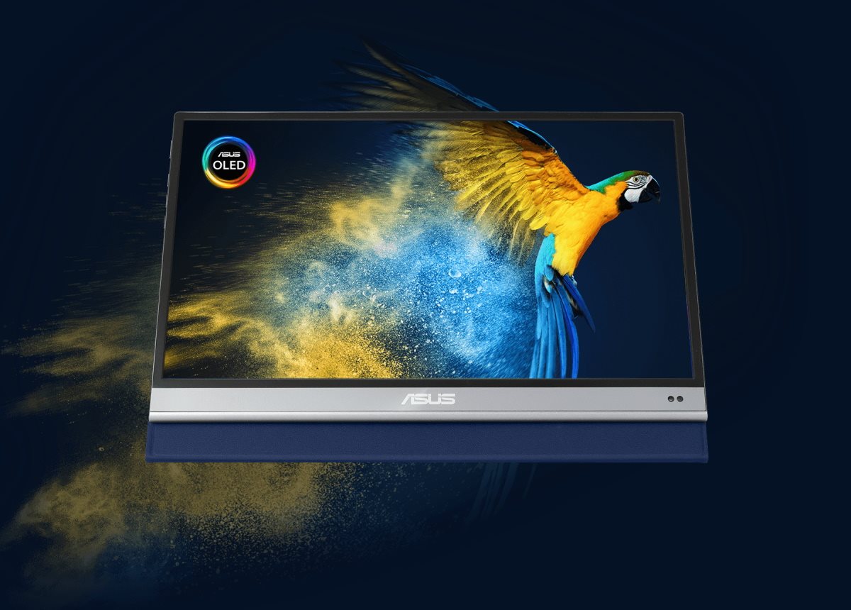 ZenScreen OLED MQ13AH mit dem Bild eines Papageis, um die naturgetreue Farbwiedergabe des Displays zu präsentieren