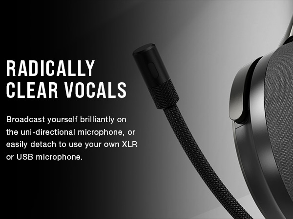 RADICALLY CLEAR VOCALS