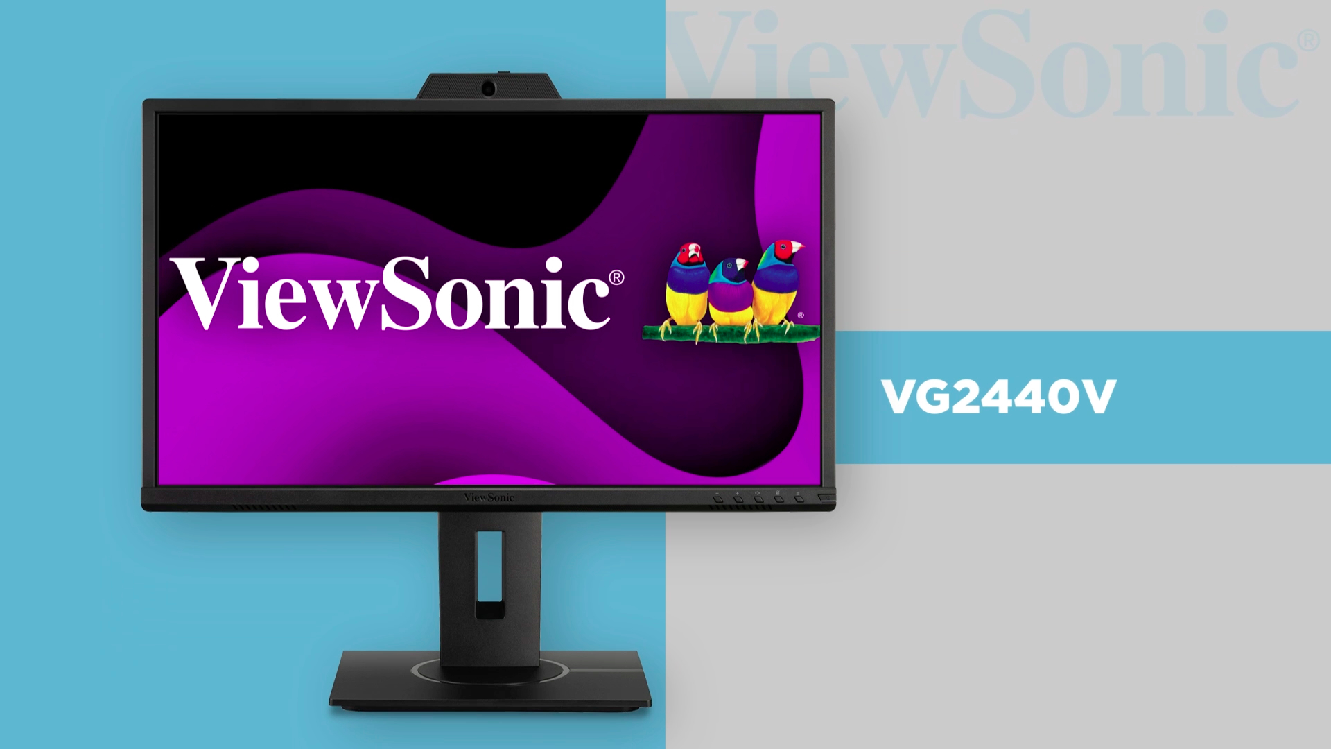 送料無料ViewSonic VG2440V 24-inch 1920 x 1080 Full HD LCD IPS Monitor, 2-Pack Bundle with VG2440, Ultra-Thin Bezel, FreeSync, Eye-Care, HDMI, 並行輸入 : ViewSonic VG2440 24 Inch IPS 1080p Ergonomic Monitor