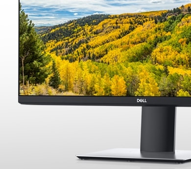 Dell P2421D - LED monitor - 23.8