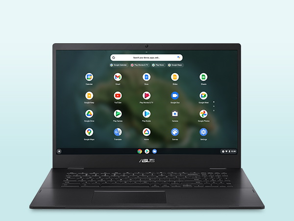 ASUS Lightweight 17.3