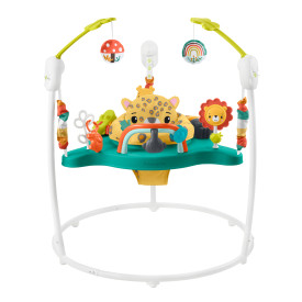 Fisher price best sale carnival jumperoo