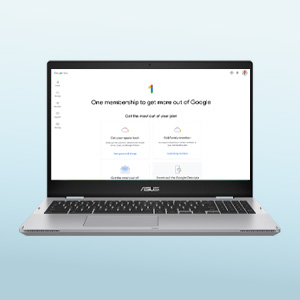 ASUS Chromebook クロームブック CX1500CKA-NJ0480 【公式通販】