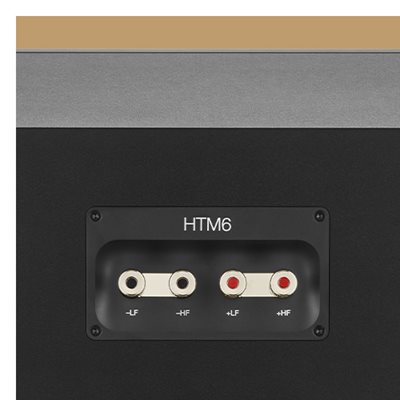 Upgraded speaker terminals