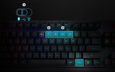 ASUS Onlineshop