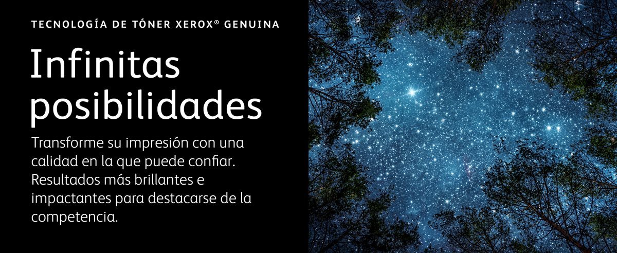 Hermoso cielo nocturno con la Vía Láctea y árboles