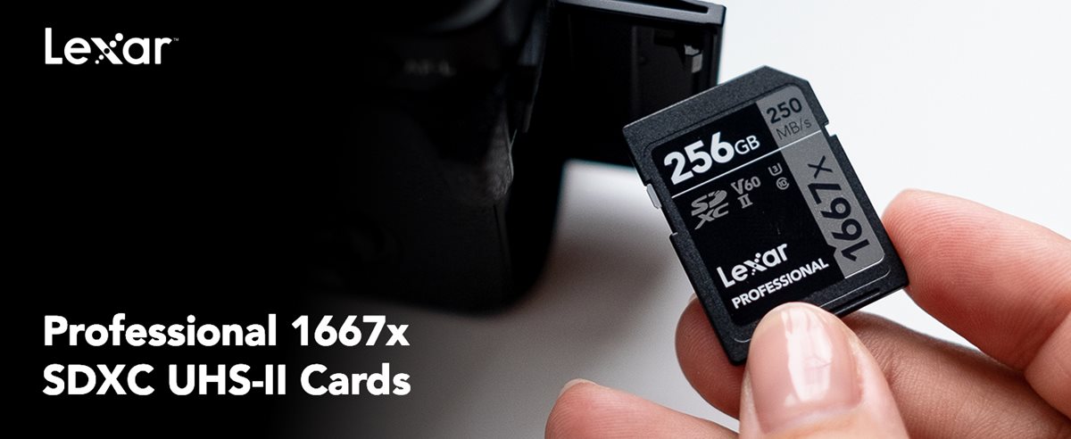 Lexar Professional 1667x SD Card 64GB LSD64CBNA1667