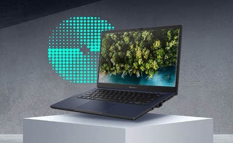 Asus ExpertBook B1 B1402 B1402CVA-XS74 14
