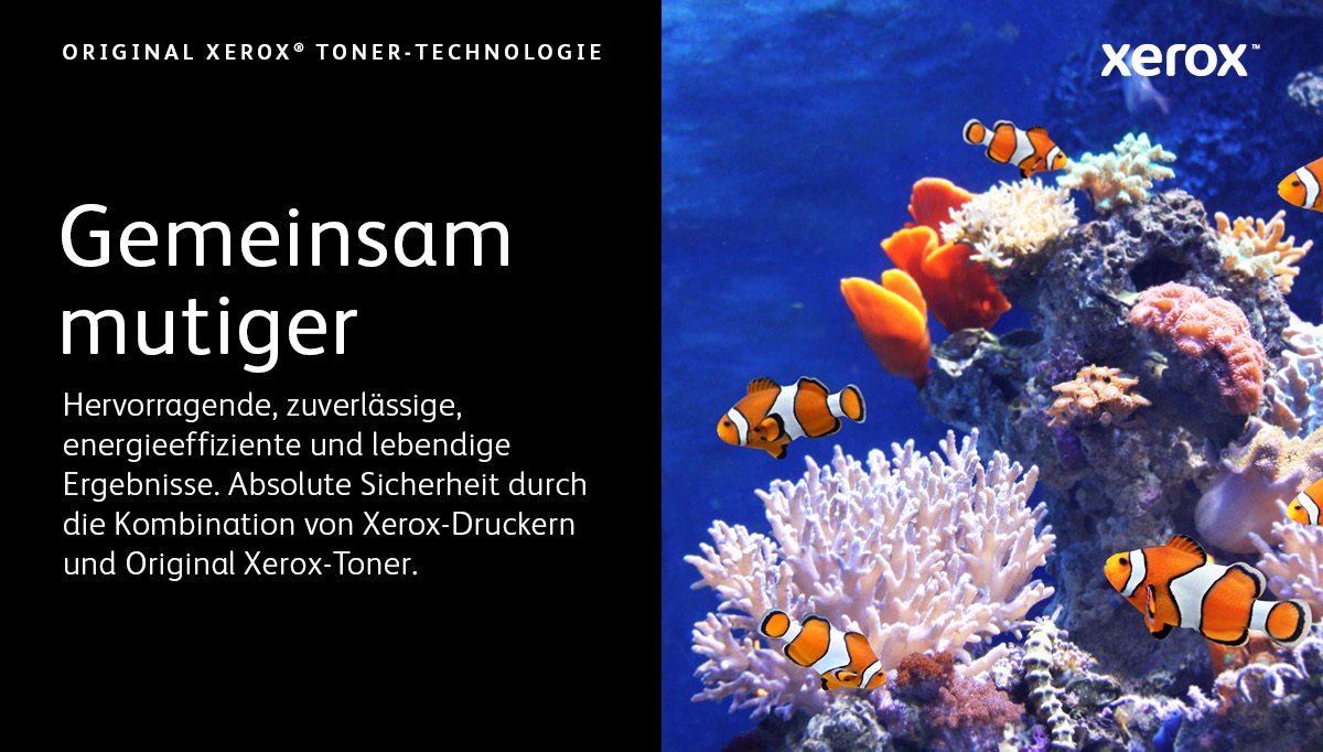 Bright, tropical sea corals with clown fish