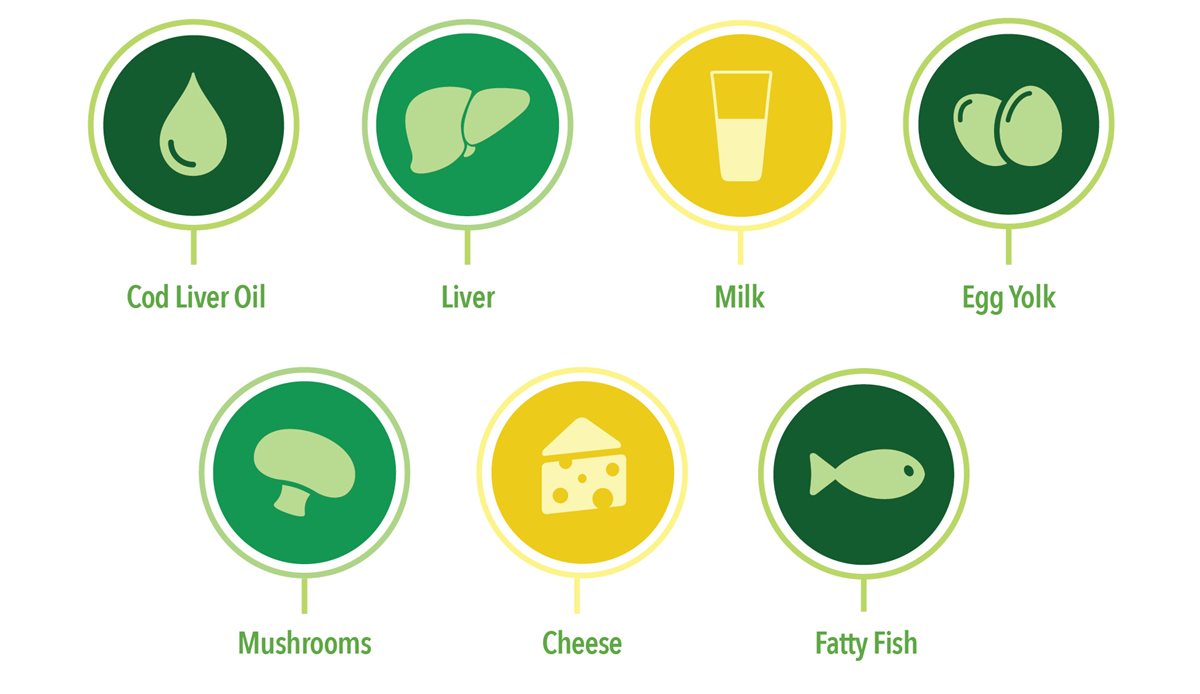 Dầu gan cá tuyết, gan, sữa, lòng đỏ trứng, nấm, phô mai, cá béo