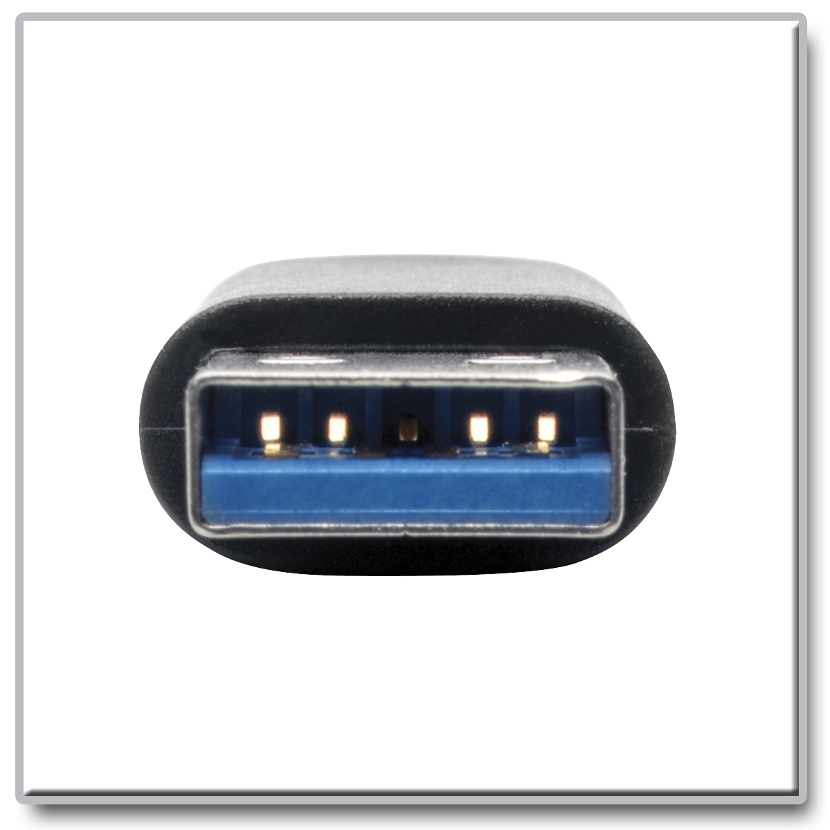Tripp Lite USB 3.0 Adapter Converter USB-A to USB Type C M/F USB-C - USB-C  adapter - USB Type A to 24 pin USB-C - U329-000 - USB Adapters 