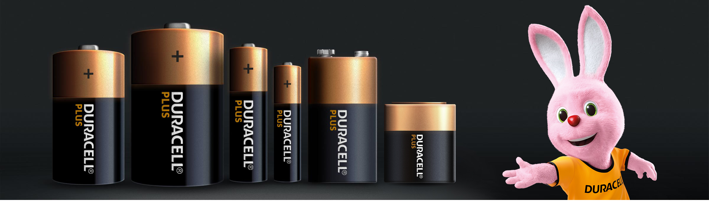 Duracell Plus AAA Batteries (12 Pack) - Alkaline 1.5V - Up To 100% Extra  Life - Reliability For Everyday Devices - 0% Plastic Packaging - 9 Year