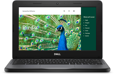 Chromebook 3120 bærbar pc eller 2-i-1