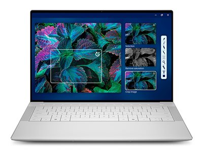 Dell Premium 14.5