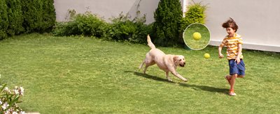 Claridad 2K Eufy SoloCam S220