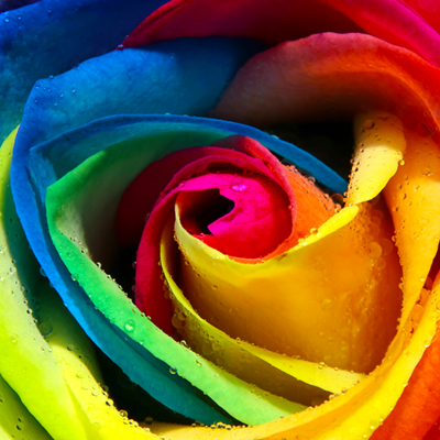10 Bit Color Depth