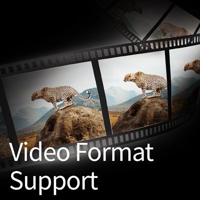 Understøttede videoformater