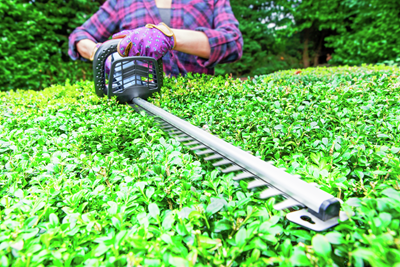 18V Cordless Pole Hedge Trimmer 43cm 2.0Ah