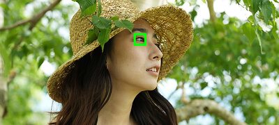 AI-based Real-time Eye AF and Real-time Tracking19